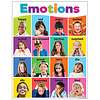 Teacher Created Resources Emotions Chart*