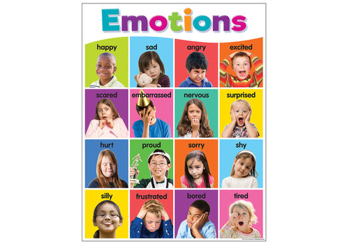 Teacher Created Resources Emotions Chart*