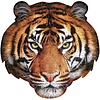outset media I am a Tiger -  300 Piece Puzzle