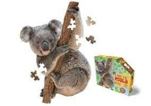 outset media I am Lil'Koala