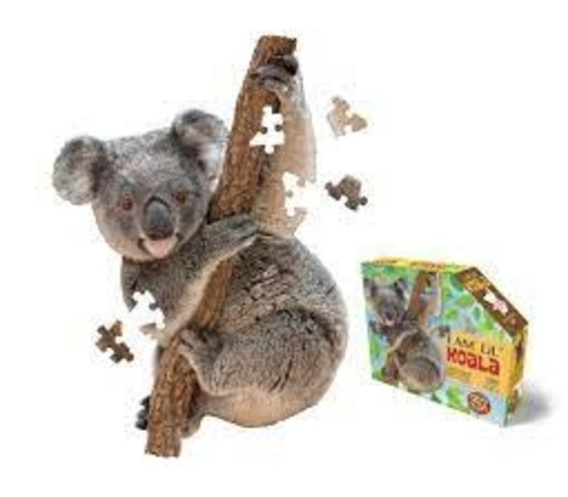 I am Lil'Koala