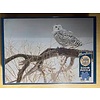 outset media Fallen Willow Snowy Owl - Puzzle- Cobble Hill