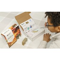 Soapstone Carving Kit -  Lion*