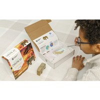 Soapstone Carving Kit -  Lion