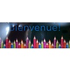 LEARNING TREE Bienvenue French Bookmark - 25