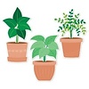Creative Teaching Press Potted Plants  6" Designer Cut Outs