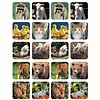 EUREKA Baby Animals Stickers (Real Photos)*