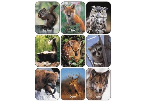 EUREKA Wildlife Animals Stickers (Real Photos) (D)*