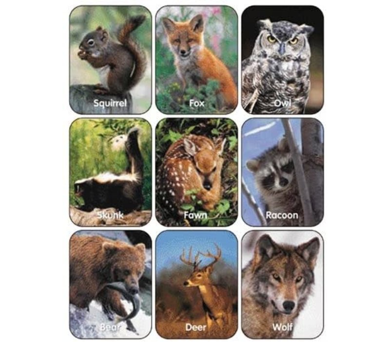 Wildlife Animals Stickers (Real Photos)