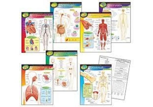 Trend Enterprises The Human Body Learning Charts Combo Pack *