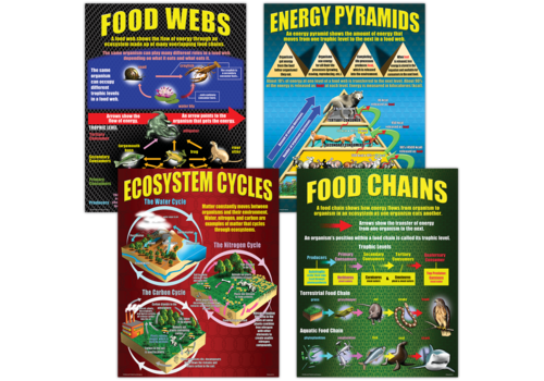 Teacher Created Resources Ecosystems Poster Set*