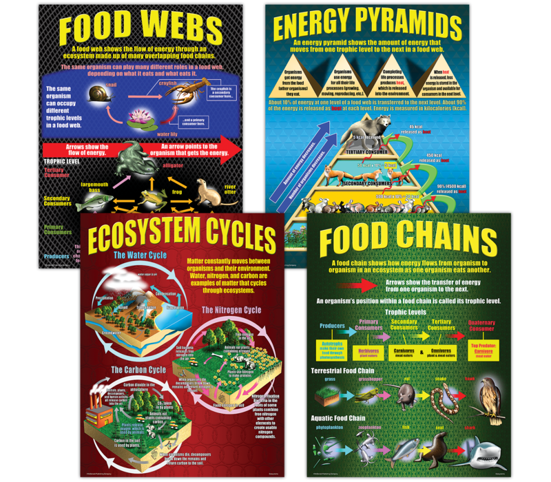 Ecosystems Poster Set*