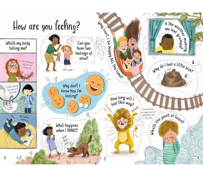 Questions and Answers about Feelings Book