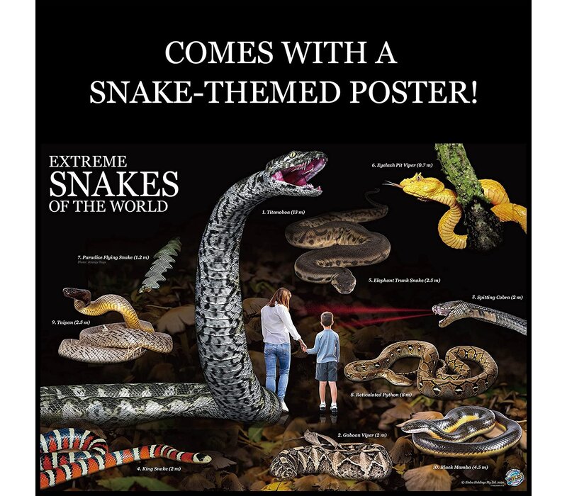 Extreme Snakes of the World * - Learning Tree Educational Store Inc.