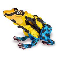 Wild Environmental Science - Amazing and Bizarre Frogs of the World