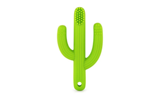 THE PENCIL GRIP COMPANY Cactus Toothbrush Chewy