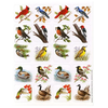 EUREKA Bird Stickers (Real Photos) (D)*