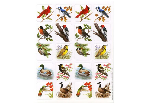 EUREKA Bird Stickers (Real Photos) (D)*