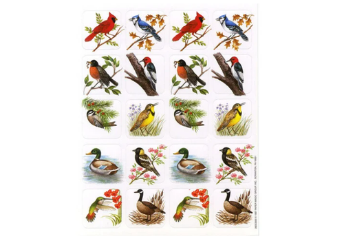 EUREKA Bird Stickers (Real Photos)