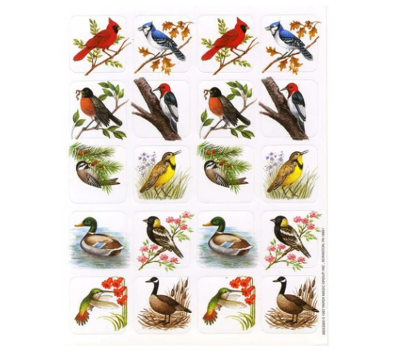 Bird Stickers (Real Photos)