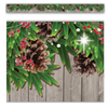 Teacher Created Resources Winter Pine Cones Border Trim*