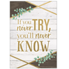 Teacher Created Resources If You Never Try, You'll Never Know Positive Poster