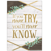 If You Never Try, You'll Never Know Positive Poster