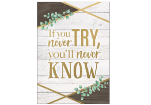 Teacher Created Resources If You Never Try, You'll Never Know Positive Poster