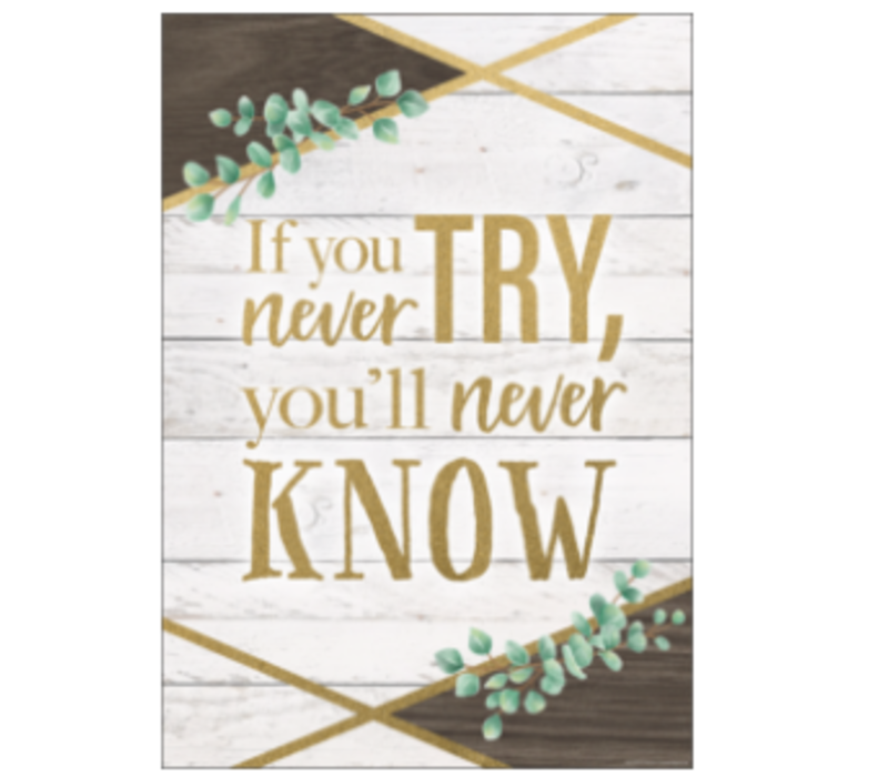 If You Never Try, You'll Never Know Positive Poster*