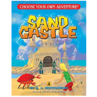 Choose Your Own Adventure -Sandcastle   (Dragonlark Series)*