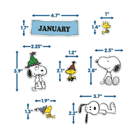 Peanuts Birthday Mini Bulletin Board Set (D)*