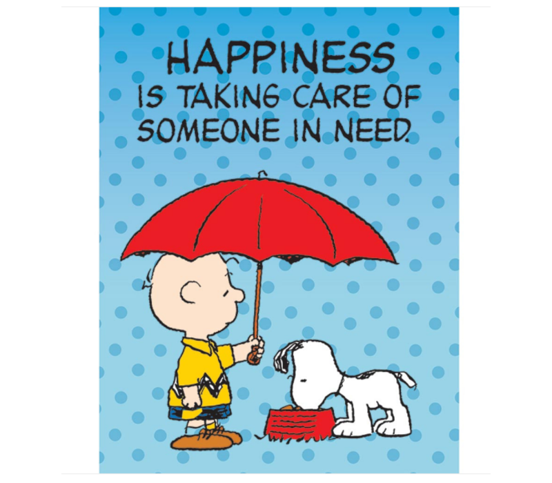 Peanuts Someone In Need Poster(D)*