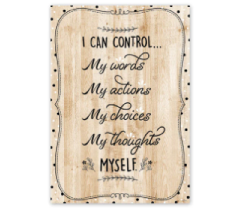 I Can Control... Poster