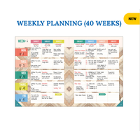 True to You  Teacher Spiral Lesson Planner*