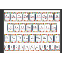 Wildflowers Alphabet Bulletin Board*