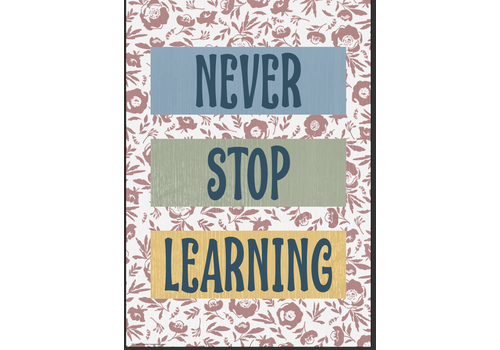 Teacher Created Resources Never Stop Learning Positive Poster* Teacher Created Resources Never Stop Learning Positive Poster*