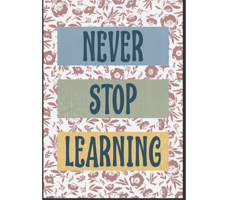 Never Stop Learning Positive Poster*