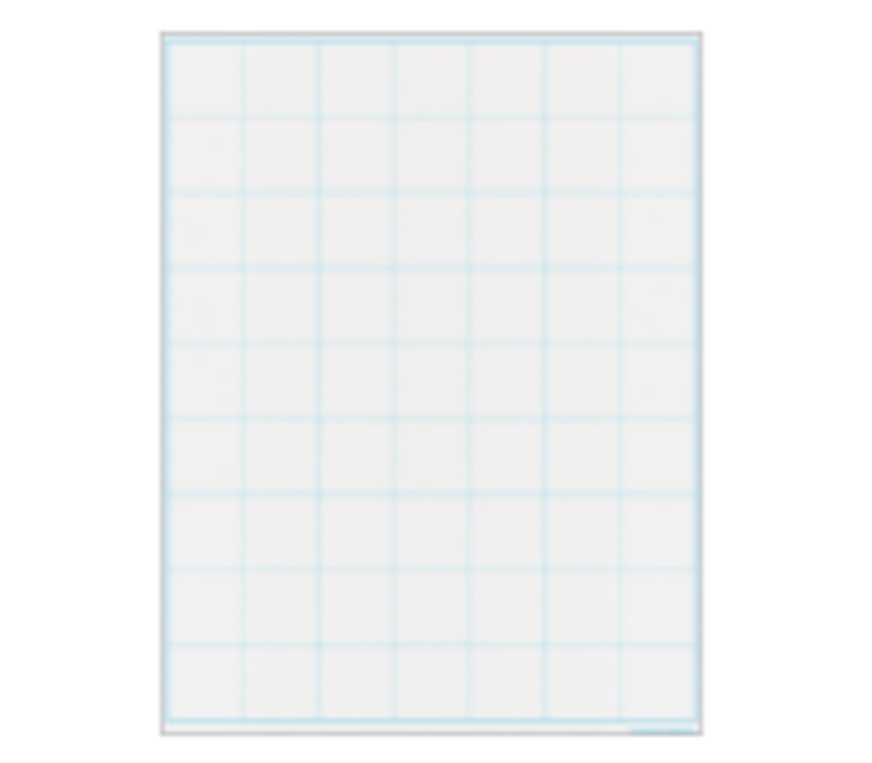 Graphing Grid Large Squares Write-On/Wipe-Off Chart*