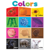 Teacher Created Resources Colorful Colors*