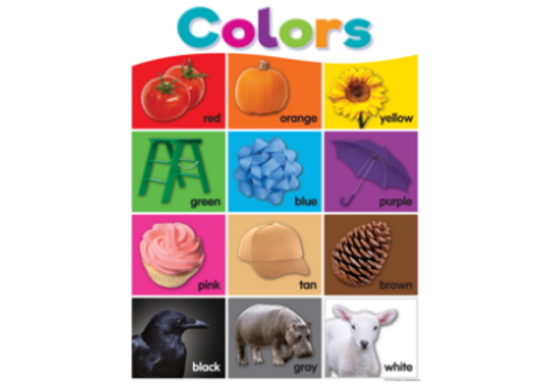 Teacher Created Resources Colorful Colors*