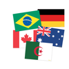 Teacher Created Resources International Flags Accents*