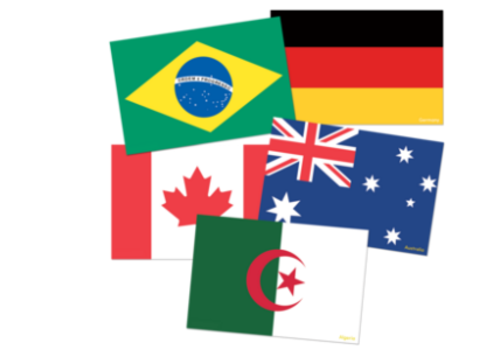 Teacher Created Resources International Flags Accents*