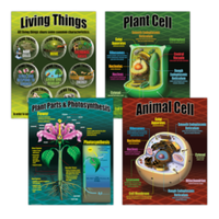 Life Science Poster Set*