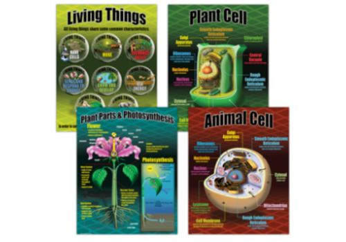 Teacher Created Resources Life Science Poster Set* Teacher Created Resources Life Science Poster Set*