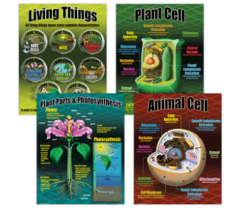 Life Science Poster Set*