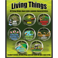 Life Science Poster Set*