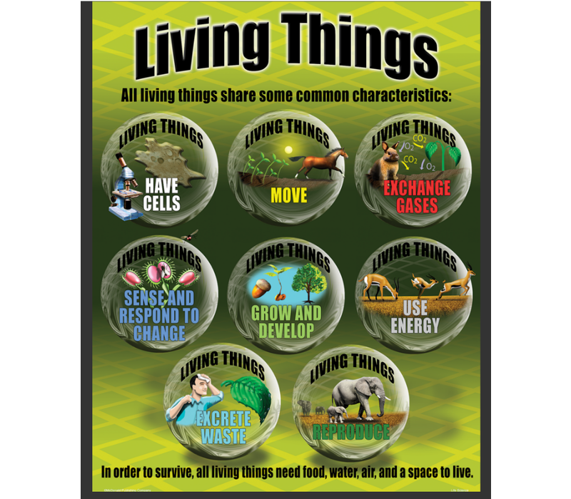 Life Science Poster Set*