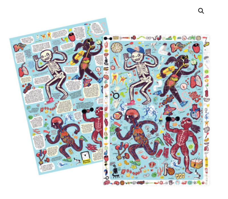 Observation Puzzle My Body*