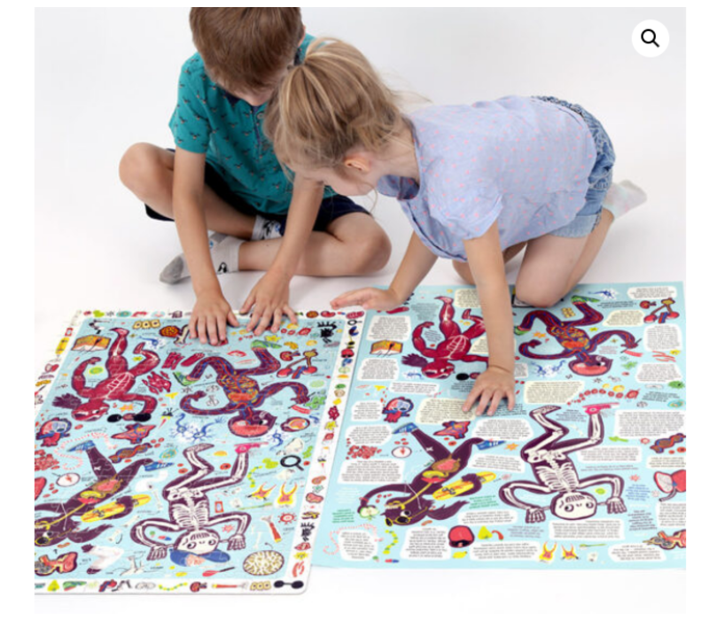 Observation Puzzle My Body*