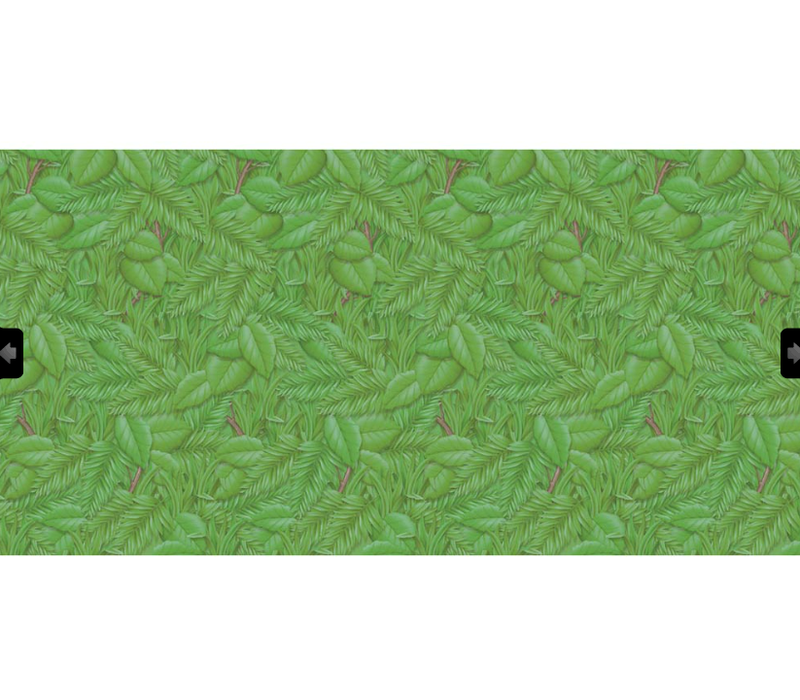 Fadeless Paper 4ft x 12 ft - Tropical Foliage*